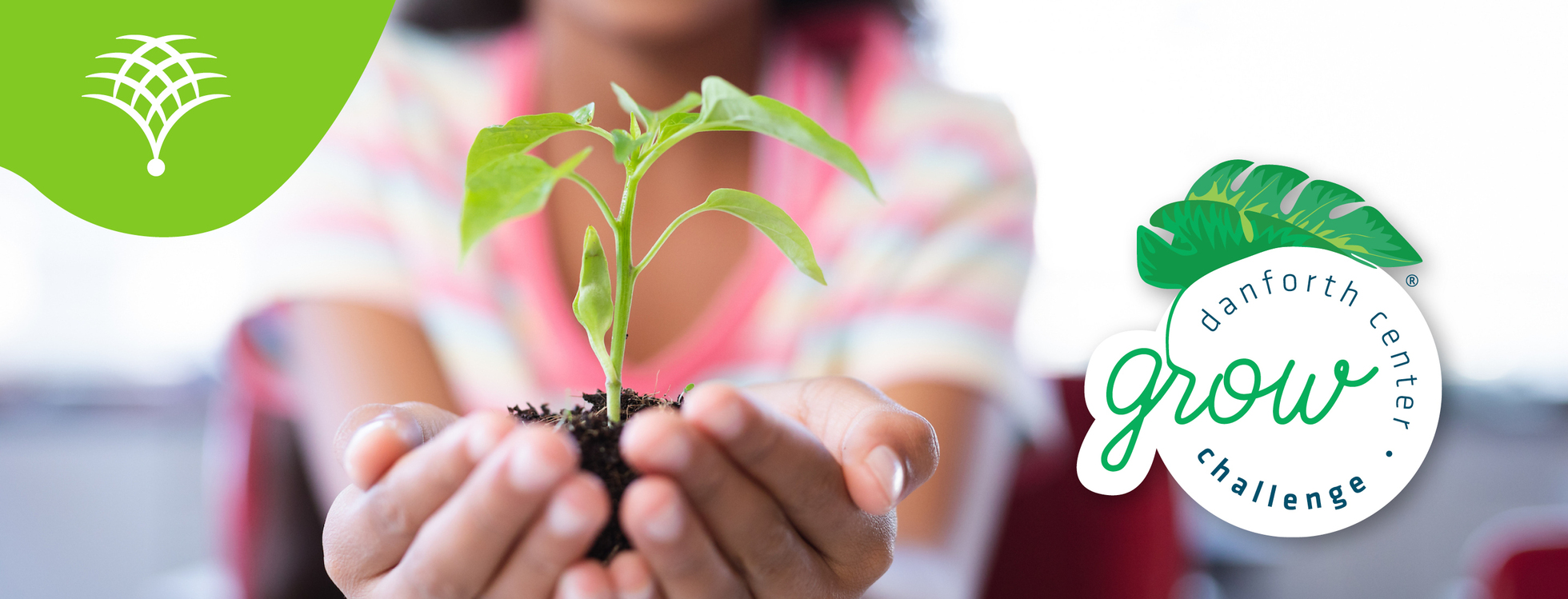 Grow Challenge 2026